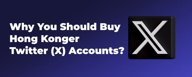 Why You Should Buy Hongkonger Twitter (X) Accounts?
