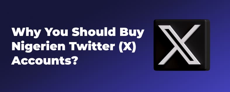 Why You Should Buy Nigerien Twitter (X) Accounts?