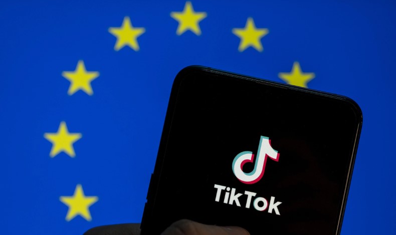 Navigating the Richness: Acquiring European TikTok Accounts