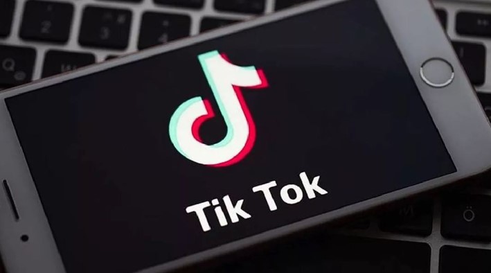 Swedish TikTok Accounts Unveiled