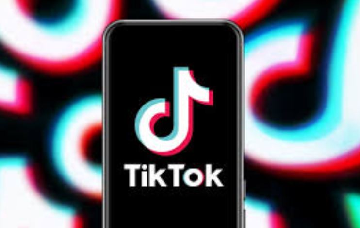 A Kaleidoscope of Content: Turkish TikTok Accounts Under the Spotlight